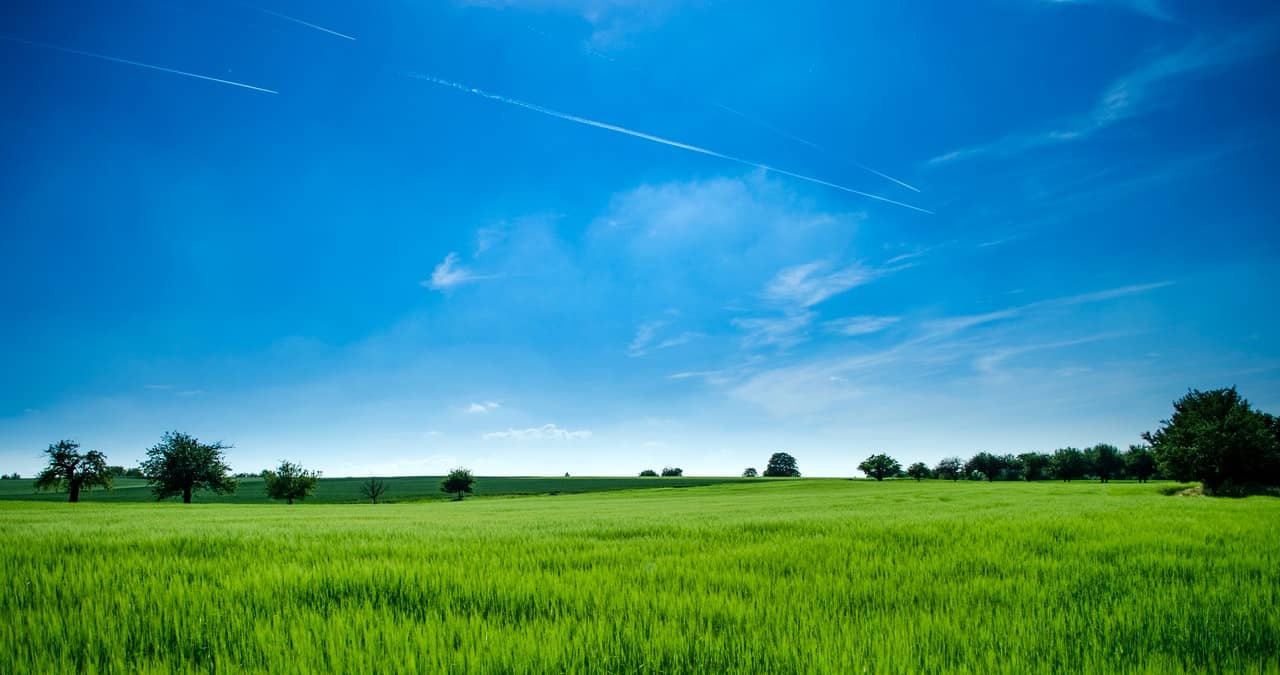 land-acusation