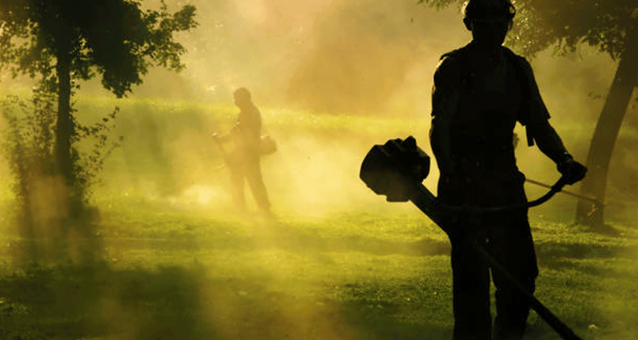 cleaning-of-fields